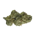 thumb of CBD Sugar Bud