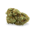 thumb of CBD White Widow bud