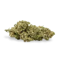 thumb of CBG Citrus Nectar bud