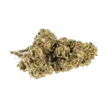 thumb of Chocolate Thai Bud