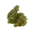 thumb of Chocolope Auto Bud