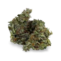 thumb of Chocolope bud