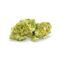 thumb of Cinderella 99 bud