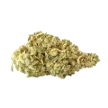 thumb of Colombian Gold Bud