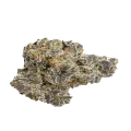 thumb of Cookies and Cream Bud