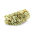thumb of Critical bud