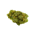 thumb of Critical Jack Auto Bud