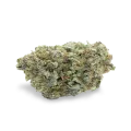 thumb of Critical White bud