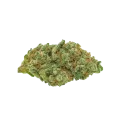 thumb of Diesel Auto Bud