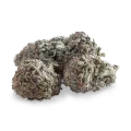 thumb of Durban Poison bud