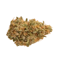 thumb of Florida Sunrise Auto Bud