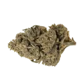 thumb of Forbidden Runtz Bud