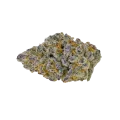 thumb of Future #1 Auto Bud