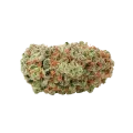 thumb of G13 Auto Bud