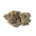 thumb of Gary Payton Bud