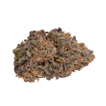 thumb of Granddaddy Purple x Bruce Banner Bud