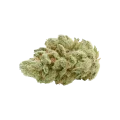 thumb of Gelato Auto Bud