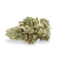 thumb of Gelato bud