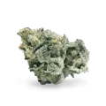 thumb of Girl Scout Cookies bud