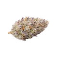 thumb of Glitter Bomb Cannabis Bud