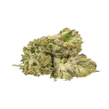 thumb of Glookies Bud