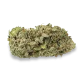 thumb of GMO Cookies bud