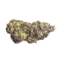 thumb of Gods Gift Bud