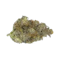 thumb of Gorilla Cookies Bud