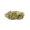 thumb of Gorilla Glue Auto Bud