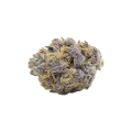 thumb of Granddaddy Purple Auto Bud
