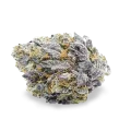 thumb of Granddaddy Purple bud