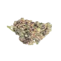 thumb of Grandmommy Purple Bud
