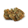 thumb of grease monkey bud