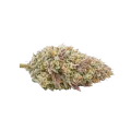 thumb of Gumbo Cannabis Bud
