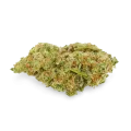 thumb of Humboldt bud