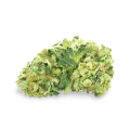 thumb of Island Sweet Skunk bud