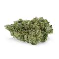 thumb of Jack Herer Bud