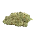 thumb of Kiwi Kush Bud