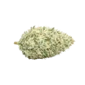 thumb of Lamb's Bread Autoflower Cannabis Bud