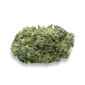 thumb of Lambs Bread Bud