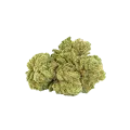 thumb of Maui Waui Auto Bud