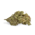 thumb of Northern Lights bud