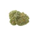 thumb of OG Kush Auto Bud