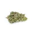 thumb of Original Glue bud