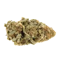 thumb of Outback OG Bud