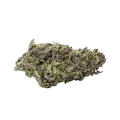 thumb of Pink Rozay Bud