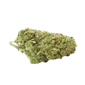 thumb of Pixie Dust Bud