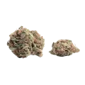 thumb of Plushberry Autoflower Bud