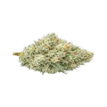 thumb of Puff Pastry Cannabis Bud