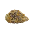 thumb of Purple Gelato Auto Bud